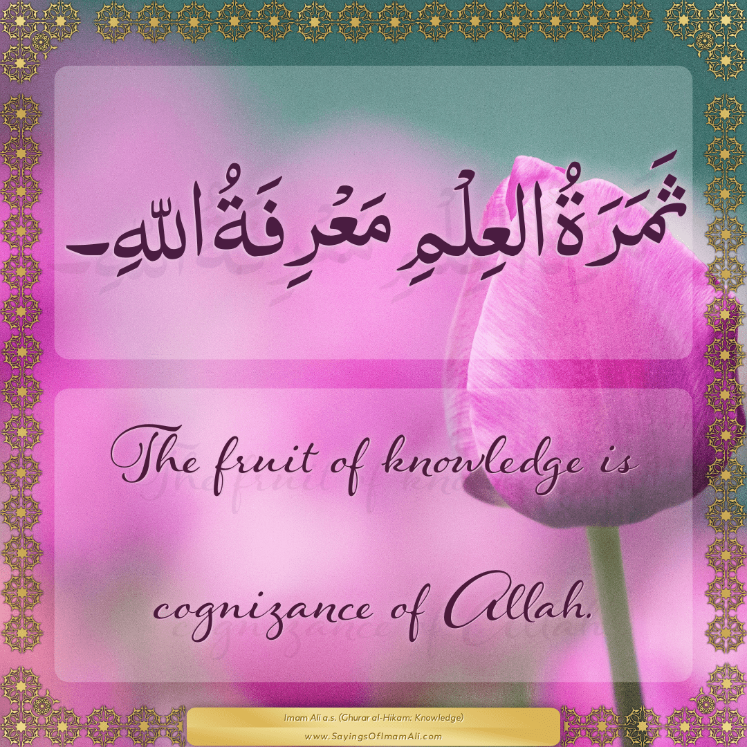 The fruit of knowledge is cognizance of Allah.